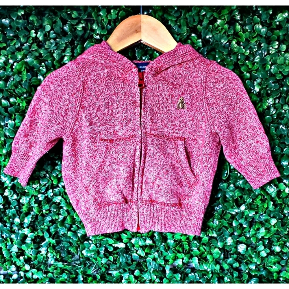 8. 2/$20 Gap Baby hooded sweatshirt